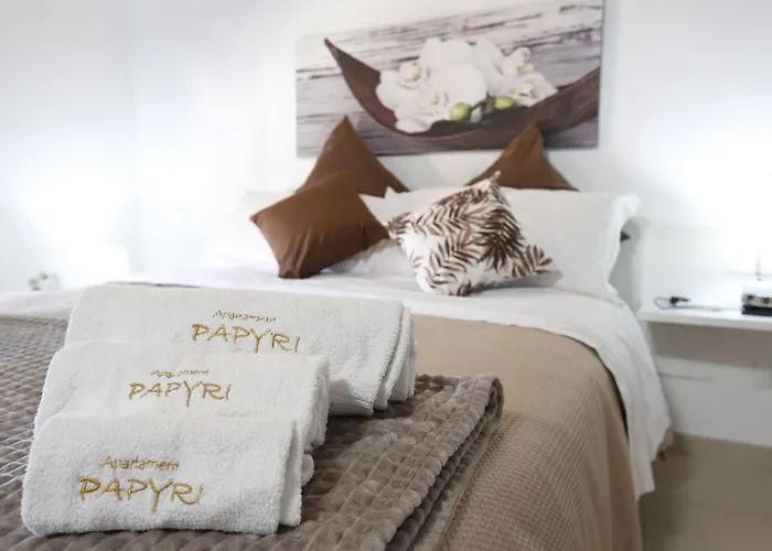 Papyri Διαμέρισμα *